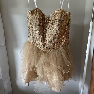 Windsor NWT Formal Dress